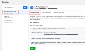 step 3 - choose DNS verification