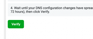 domain verification in Facebook Business Manager